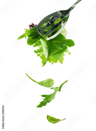 Photo: falling salad leaves falling salad leaves
