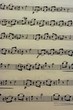 partitura partitura