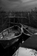 barque de camargue