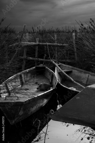barque de camargue