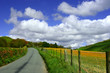 the road to nowhere the road to nowhere