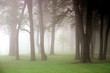 Foto: misty day misty day