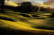 golf club