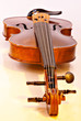 violin