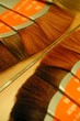 mèches de cheveux