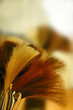 Photographie : pinceaux multicolores