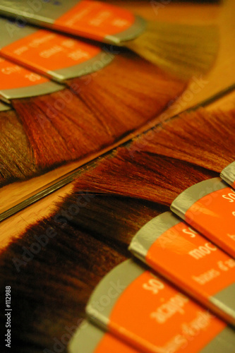 échantillon pour coloration