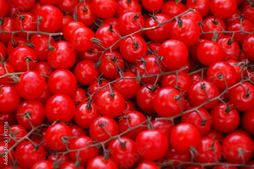 tomate tomate