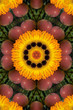 apple and orange gardenia mandala