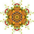 autumn mandala