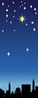 christmas star