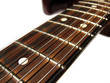 guitar neck guitar neck