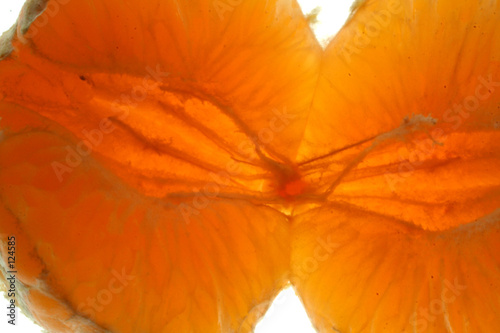 mandarines