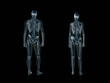xray, x-ray of the human body, man and woman. xray, x-ray of the human body, man and woman.