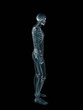 xray, x-ray of the human male body. xray, x-ray of the human male body.