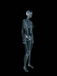 xray, x-ray of the human female body. xray, x-ray of the human female body.