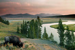 yellowstone national park yellowstone national park