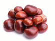 chestnuts