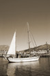 yacht #4