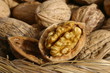 coquille de noix coquille de noix