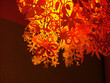 flower pattern