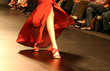 cat walk 6