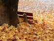 herbst herbst