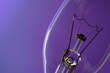 light bulb on purple background