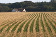cut field and a house