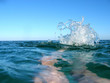 splash 3