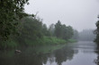 foggy morning on the river