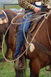Photo: rodeo rodeo