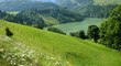 verte campagne