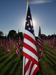 patriots among us