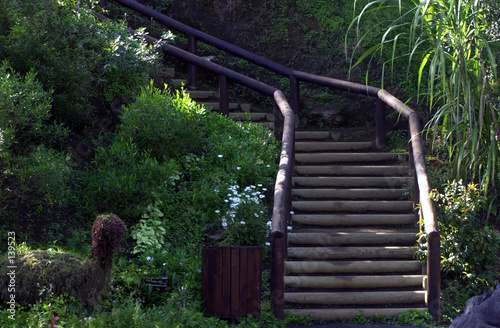 escalier de jardin en bois escalier de jardin en bois