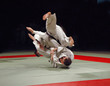 judo fight