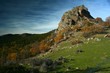 monte castillo de noguera