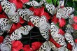 butterflies