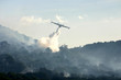 fire 3