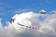 kite 6822 kite 6822