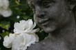 engel und rose engel und rose
