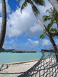 island hammock island hammock
