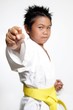 Photo: stock photo of karate boys fist stock photo of karate boys fist