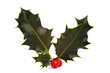holly and red berries
