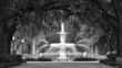 savannah fountain savannah fountain