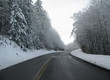 winding road in the snow