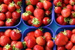 erdbeeren erdbeeren