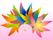 season of  leaves
