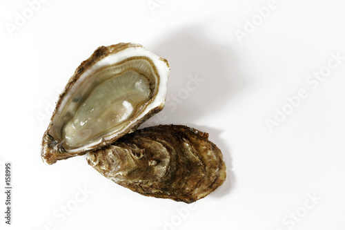 huitre
