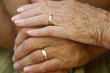 noces d' or